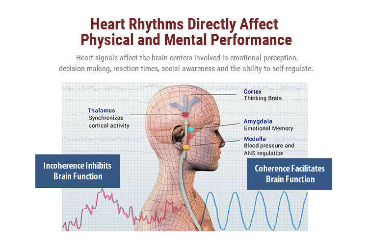 HMI Coherence course