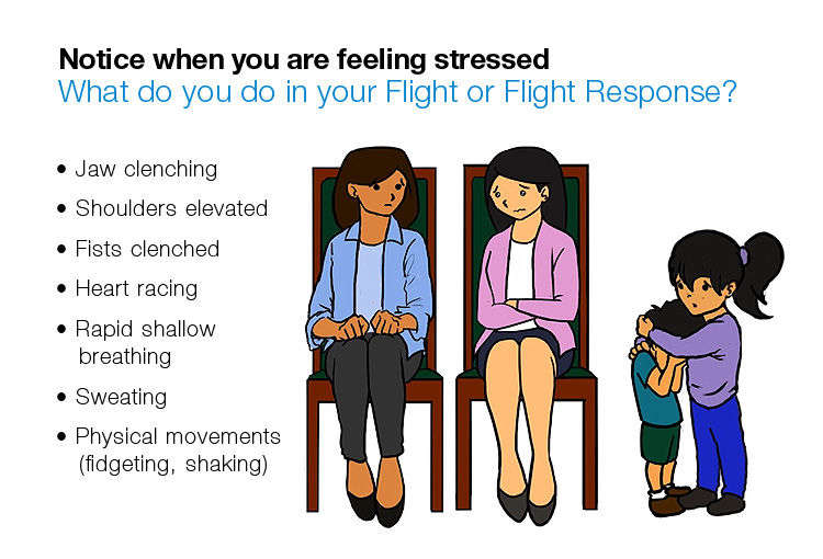 HMI Trauma Education Course