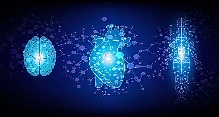 Inner balance coherence plus