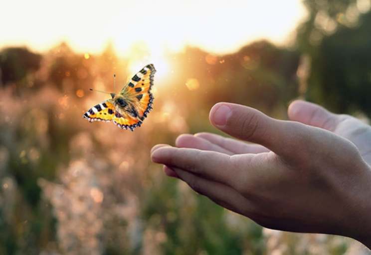 Heartmath Trauma Stress Recommendations